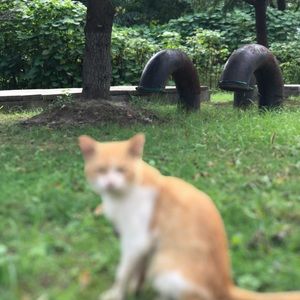 Meet your Posher, Channell